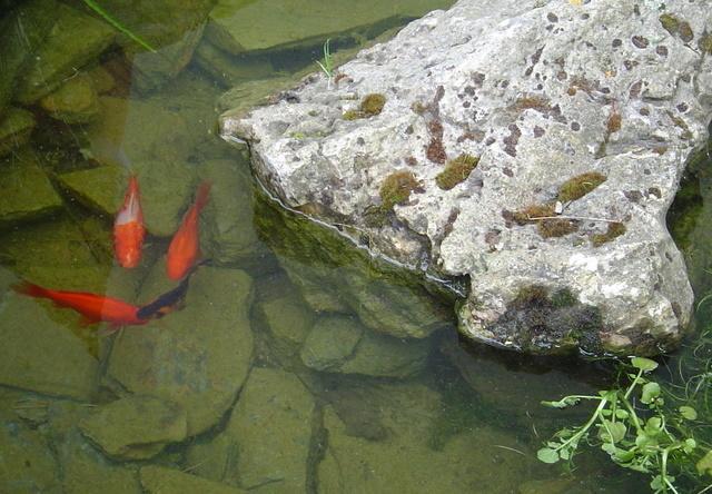 Hokonui Bed & Breakfast Gore Zewnętrze zdjęcie